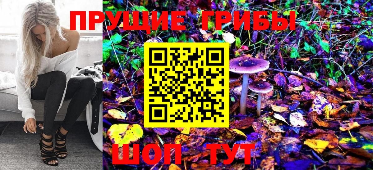 Псилоцибиновые грибы Psilocybe  Вход с VPN  что такое   Великий Устюг  Галлюциногенные грибы Cubensis 