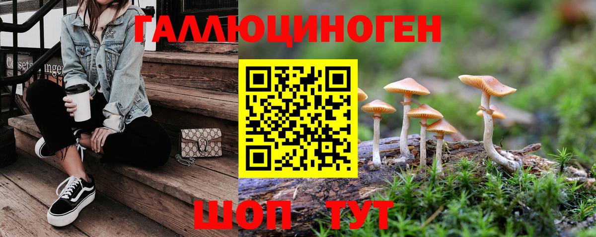 Галлюциногенные грибы мицелий Великий Устюг